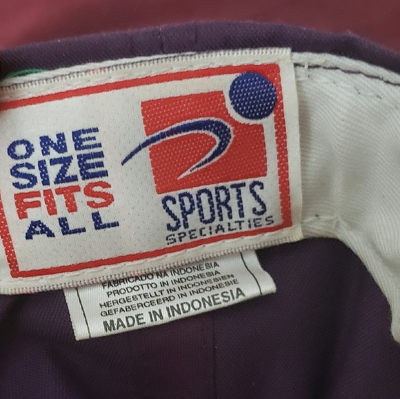 Vintage Sports Specialties Anaheim Mighty Ducks Snapback Hat Cap 90s NHL Men cas - Picture 7 of 8